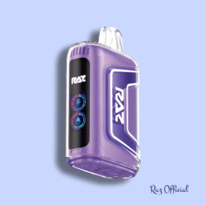 Grape Ice - RAZ TN9000 Disposable Vape