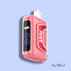 Miami Mint - RAZ TN9000 Disposable Vape