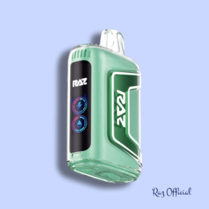 Miami Mint - RAZ TN9000 Disposable Vape