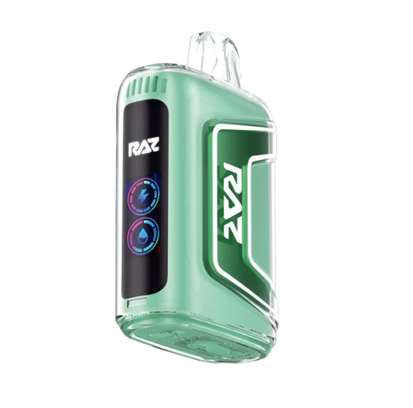 Miami Mint - RAZ TN9000 Disposable Vape