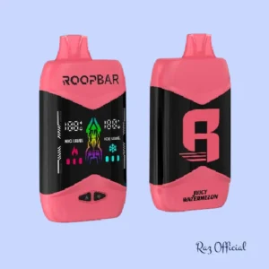 Juicy Watermelon RoopBar NIC+ICE Control Disposable Vape - 40k Puffs