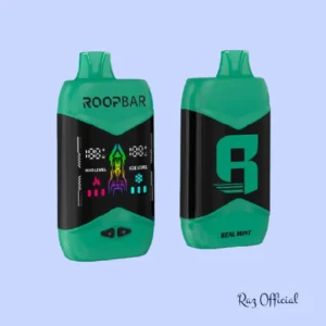 Real Mint RoopBar NIC+ICE Control Disposable Vape - 40k Puffs