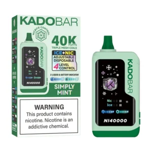 RAZ VAPE NEAR ME 11 Simply Mint Kado Bar NI40K Ice+Nic Control Disposable Vape