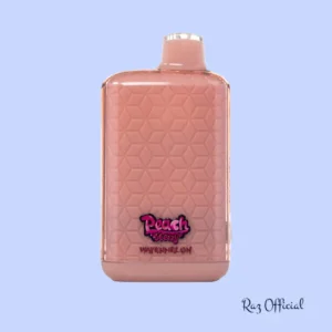 Watermelon Mr Fog Nova 36000 Puffs Disposable Vape - Peach Steezy