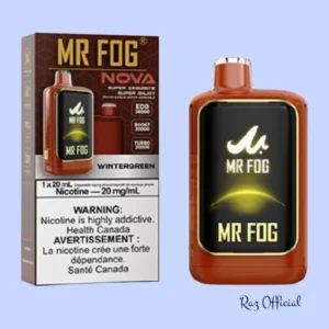 Wintergreen Mr Fog Nova 36K Puffs Disposable Vape
