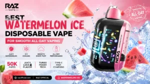Home 28 Watermelon Ice